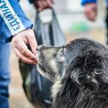 Волонтёры передали более 100 кг гуманитарной помощи в приют для животных «Бирюлёво»