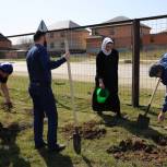 В Чечне при поддержке «Единой России» добровольцы высадили более трех тысяч деревьев