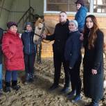 При поддержке «Единой России» конный клуб в Тюменской области получил новое оснащение
