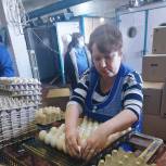 Андрей Аникеев помог с вывозом продукции оренбургских предприятий АПК в другие регионы