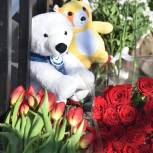 Знать, чтобы помнить: Столичные единороссы приносят цветы и игрушки к посольству Сербии в Москве