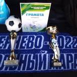 В Псковской области прошел международный футбольный марафон