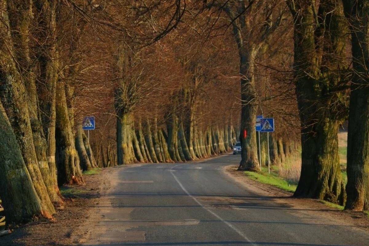 Калининград фото дорог