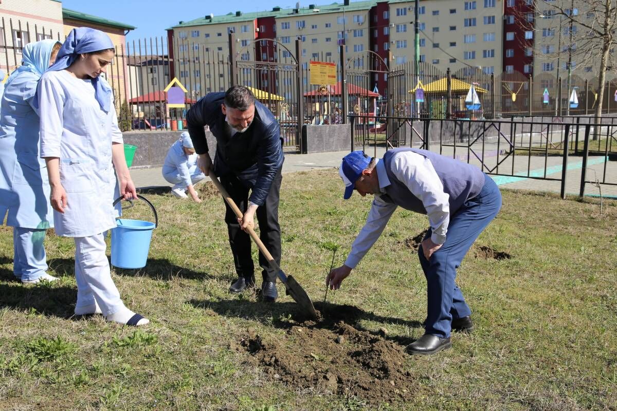 В Чеченской Республике стартовала акция по посадке молодых деревьев