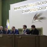 Стабильное функционирование АПК Ставрополья в условиях западных санкций обсудили на конференции краевого Минсельхоза