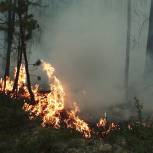 По инициативе «Единой России» ужесточат ответственность за лесные пожары
