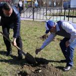 В Чеченской Республике стартовала акция по посадке молодых деревьев