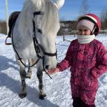 Активисты партии из Рыбинского района организовали катание на лошадях для детей из семей мобилизованных и военнослужащих