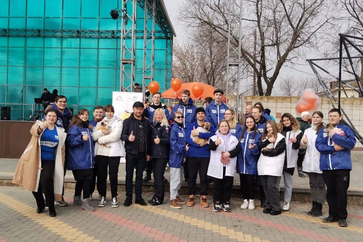 Активисты «Единой России» провели ярмарку в помощь бездомным животным в Волгоградской области