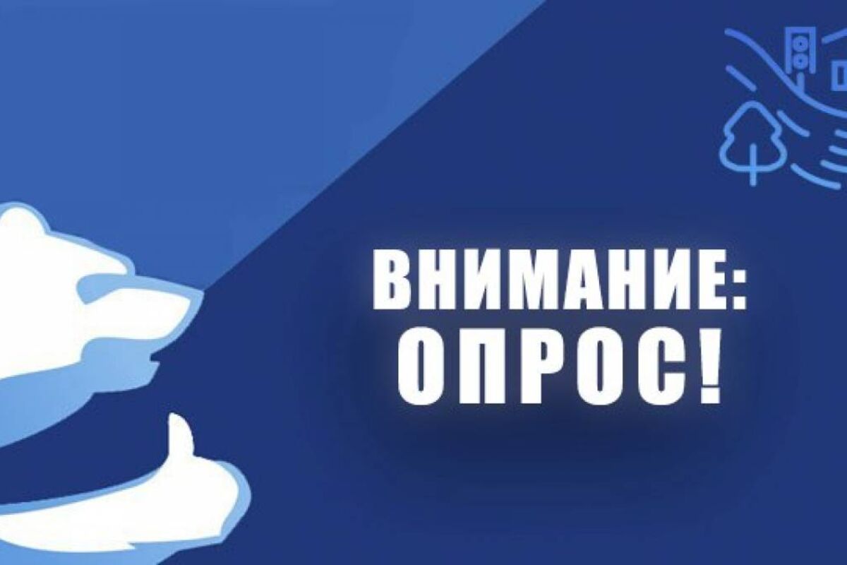 Родителей школьников Оренбурга попросят рассказать о знакомстве с ПДД в семье