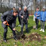 В Кропоткине «Сад Памяти» пополнился молодыми деревьями