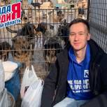 Рязанские молодогвардейцы оказывают помощь пунктам временного содержания животных