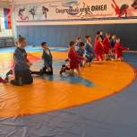 «Единая Россия» способствует созданию условий для занятий самбо в школах