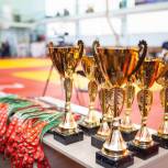 «Единая Россия» оказала содействие в организации Всероссийских соревнований по дзюдо в Москве