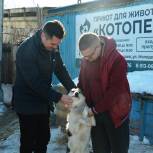 Депутат Дмитрий Франчук проинспектировал условия содержания животных в приюте в Куйбышеве