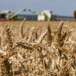 Евгений Нифантьев: Продление зерновой сделки на 60 дней дает понять ЕС, что терпение РФ не безгранично и сделка может быть расторгнута