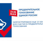 Прошло заседание Организационного комитета по проведению предварительного голосования