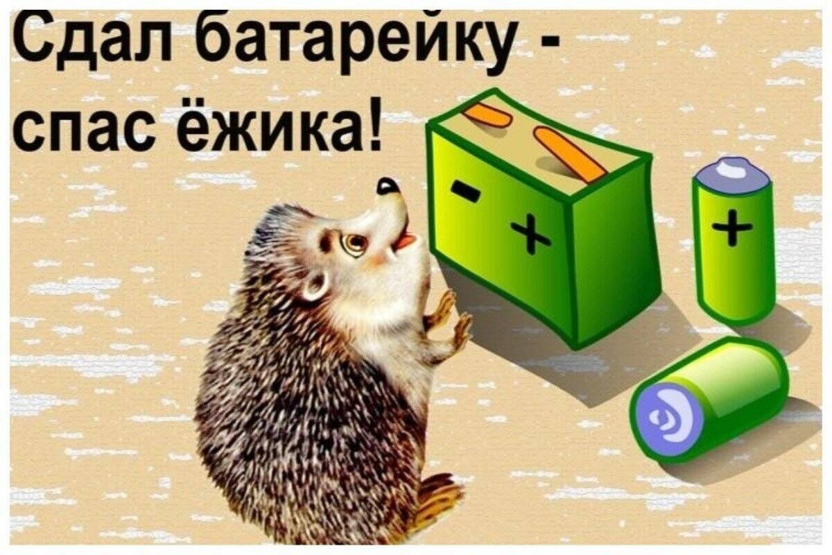 1 марта в регионе стартовала акция «Батарейку принеси – ежика спаси».