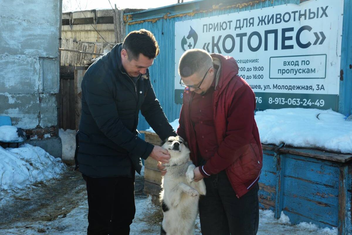 Единая Россия» помогает приюту для животных «КОТОПЕС» в городе Куйбышеве |  20.03.2023 | Новосибирск - БезФормата