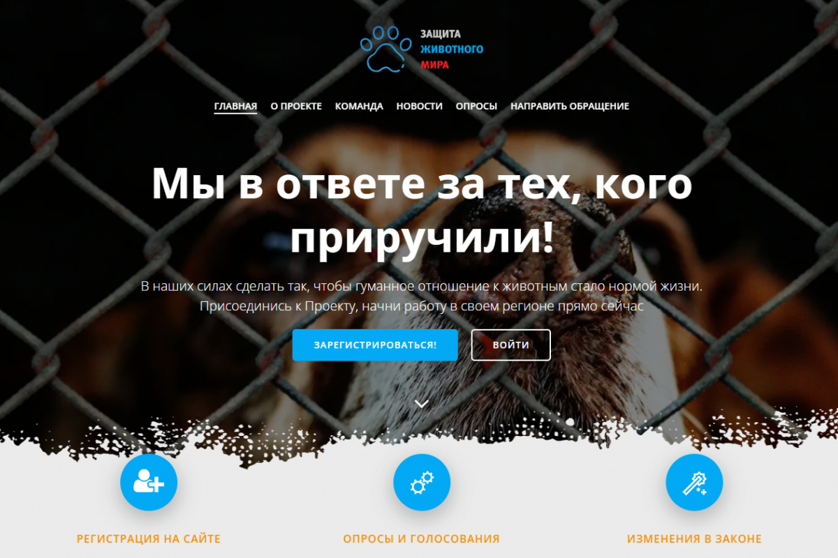 При содействии «Единой России» в регионе реализуется проект «Воронеж – город доброты»