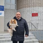 С любимыми собаками идут новгородцы на выборы