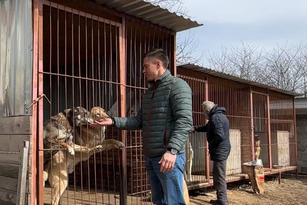 Партпроект «Защита животного мира» помог организовать уборку в ростовском зооприюте «Обитель мудрых псов»