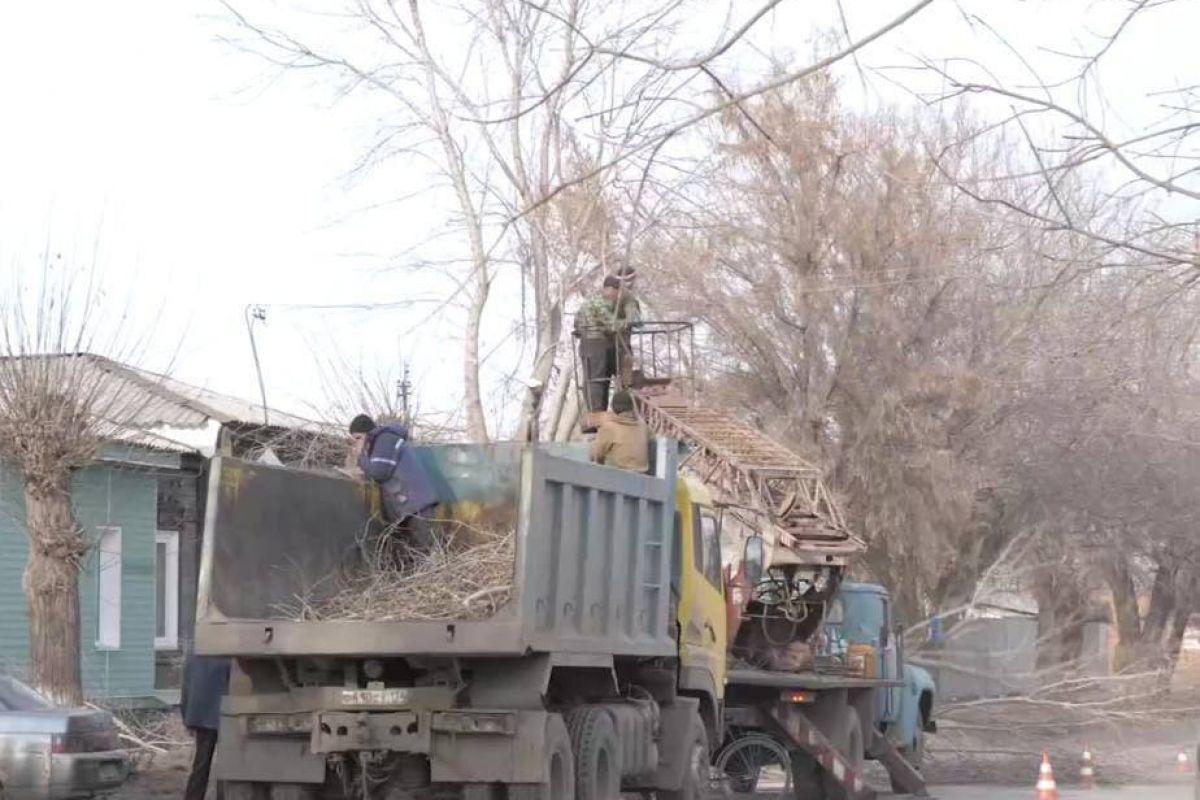 В Троицке продолжается санитарная, омолаживающая и формовочная обрезка  деревьев