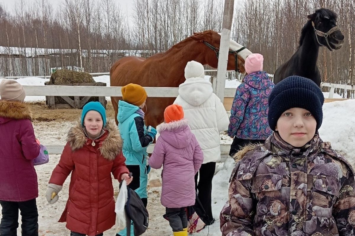 В рамках партпроекта 