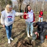 «Единая Россия» поддержала эколого-патриотическую акцию «Сад памяти» в Мартыновском районе