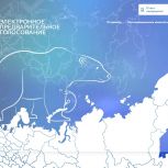 Прием документов от кандидатов на предварительное голосование «Единой России» завершится через месяц