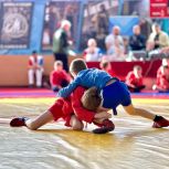 При поддержке партии в Рыбинске прошел турнир по самбо