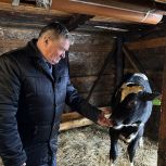 От мечты к делу. Как соцконтракт помог демидовцам заняться личным подсобным хозяйством