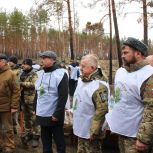Активисты «Единой России» высадили около 15 тысяч сосен в Станично-Луганском лесничестве