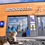 Эдуард Коченов: Почтальоны обеспечивают коммуникацию и доступ к информации в самых удалённых уголках нашей страны