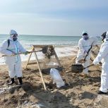 Волонтеры «Единой России» продолжают очищать черноморское побережье от нефтепродуктов