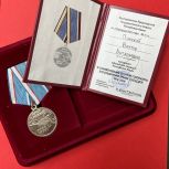Виктор Пинский награжден медалью за участие в подготовке крымского референдума в 2014 году