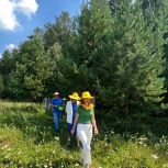 В Госдуме рассматривают закон, направленный на предотвращение негативного воздействия пестицидов на пчел