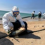 Берега Бугазской коссы очищают волонтеры Ямала
