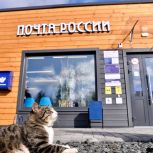 «Единая Россия» и «Почта России» проведут Всероссийский конкурс «Земский почтальон»
