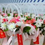 «Сила любви. Сила женщины»: Активисты партийных проектов организовали праздничное мероприятие для матерей и жен военнослужащих, участников СВО