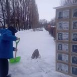 Активисты Волжского района помогают пенсионерам в уборке снега