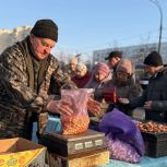 По инициативе «Единой России» в Ульяновске прошла первая продовольственная ярмарка весеннего сезона