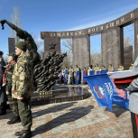 В Саратове увековечили имена погибших бойцов СВО