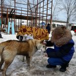 «Единая Россия» передала помощь для бездомных животных