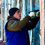 Почти тысячу тонн отходов от разобранных завалов вывезли волонтеры лагеря «Единой России» «Курский рубеж» с приграничья