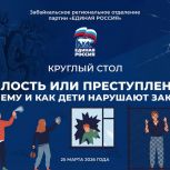 Единороссы обсудили проблему детской преступности на круглом столе
