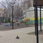 Итоги ФКГС в Торезе глазами горожан, и новый этап голосований