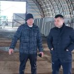 Алмаз Мингулов проводит объезд фермерских хозяйств Аксубаевского района