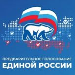 В Саратове работает оргкомитет по предварительному голосованию «Единой России»