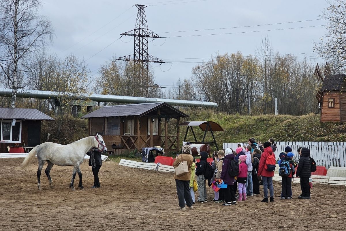 Школьники Новодвинска открывают мир сельского хозяйства в проекте «Молодые фермеры: профориентация»